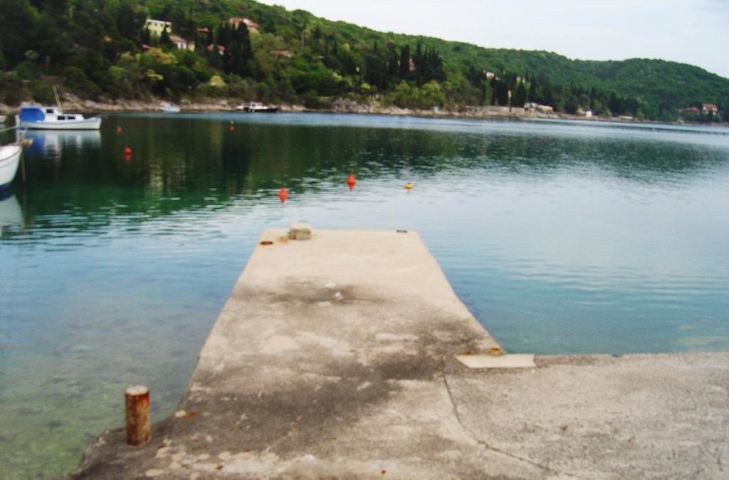 Vila Jadranka Apartments And Rooms Omisalj Bilik gambar